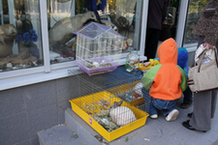 Парикмахерская «Василёк»