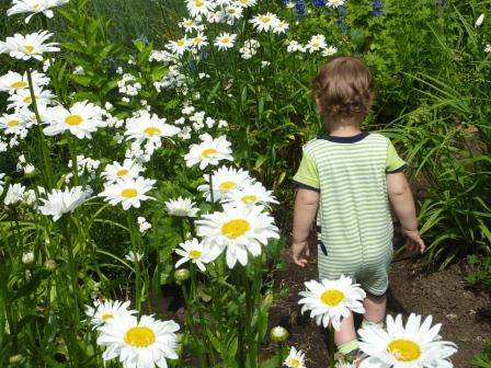 Отдых на даче