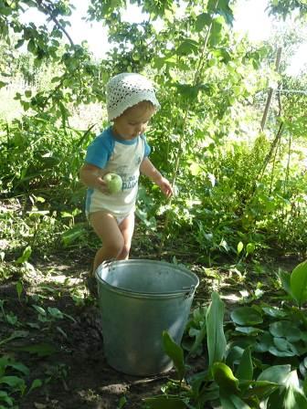 Юный собиратель яблок