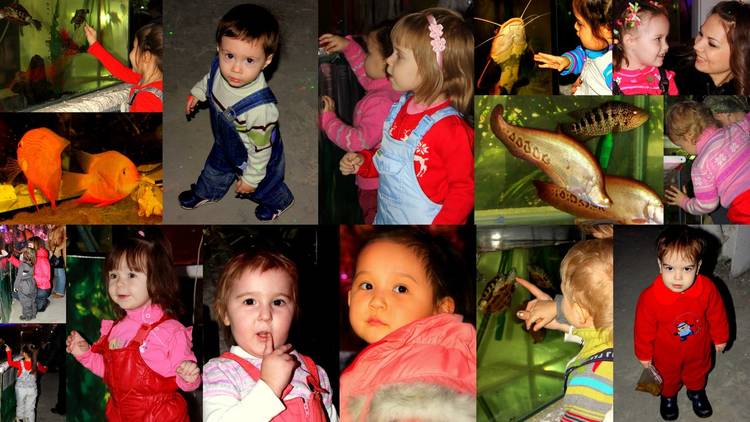 Выставка "Тропические рыбы" в ТЦ "Московский"