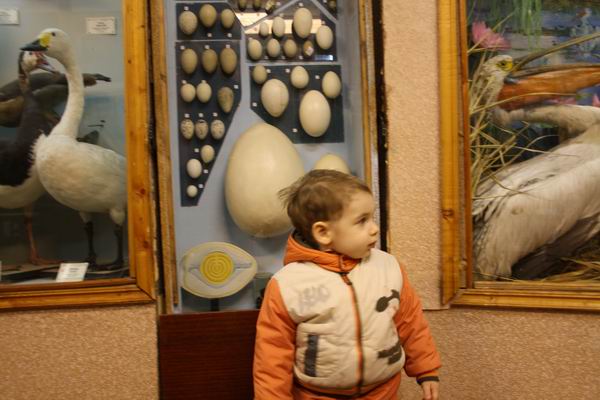 Зоологический музей в Самаре