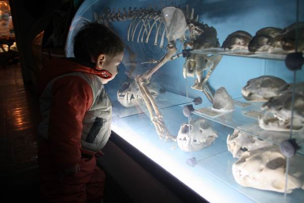 Зоологический музей в Самаре