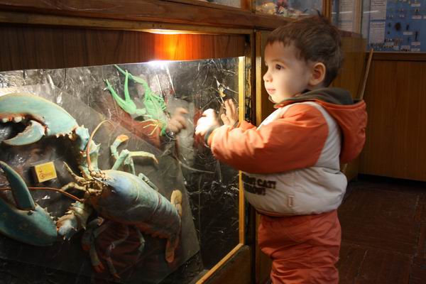 Зоологический музей в Самаре