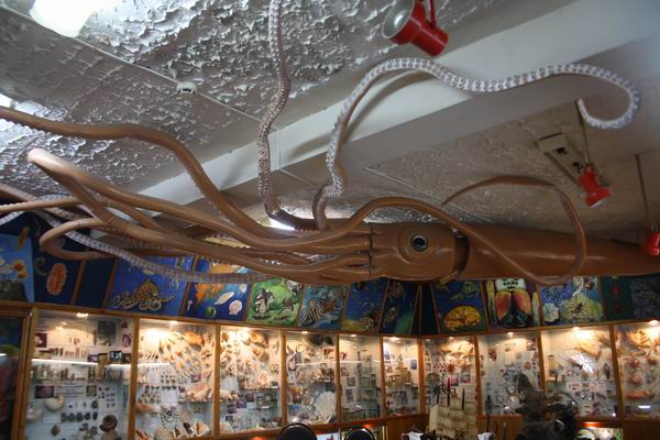 Зоологический музей в Самаре