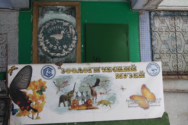 Музейная эпопея