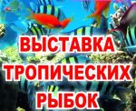 Выставка-тропических-рыбок