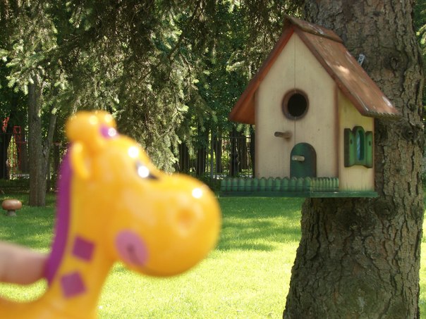 detskiye-knigi-neskuchnyye-progulki-s-nakhodilkami-4