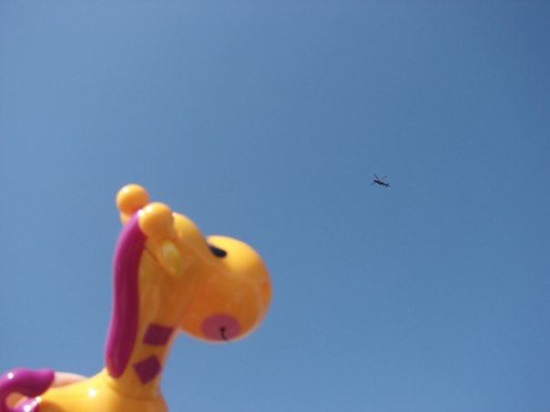 detskiye-knigi-neskuchnyye-progulki-s-nakhodilkami-6