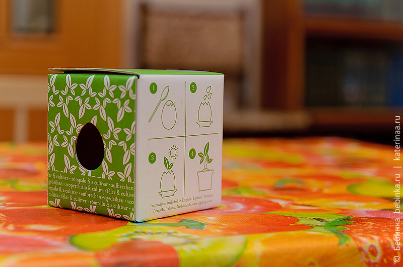 detskiye-opyty-vyrastit'-tsvetok-1