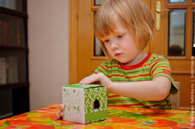 detskiye-opyty-vyrastit'-tsvetok-2