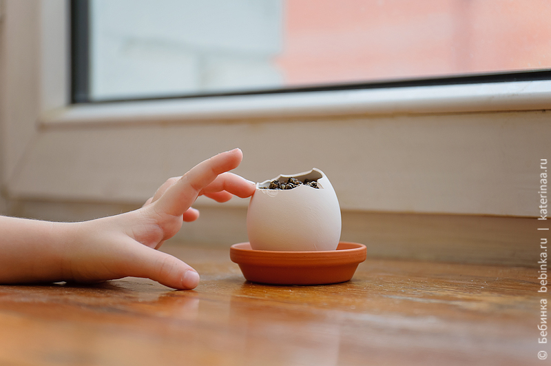 detskiye-opyty-vyrastit'-tsvetok-5