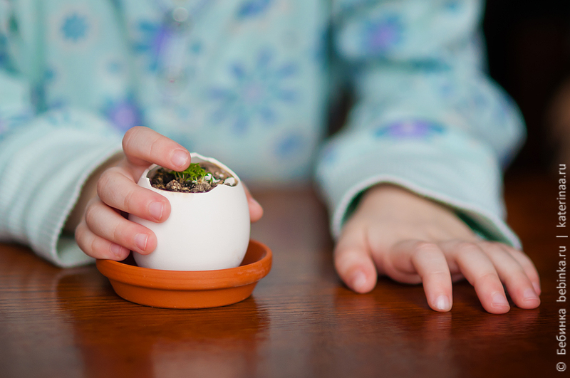 detskiye-opyty-vyrastit'-tsvetok-8