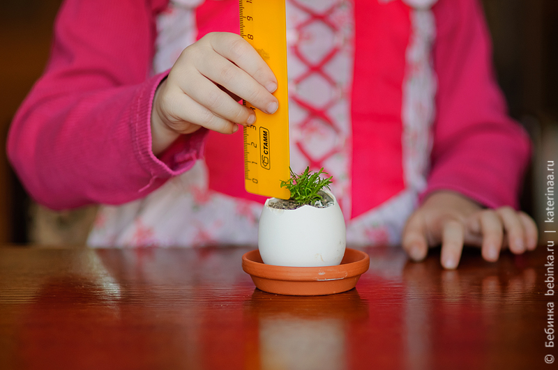 detskiye-opyty-vyrastit'-tsvetok-9